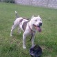 jugando